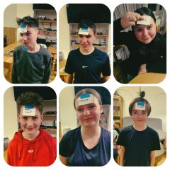 Lyžařský výcvikový kurz