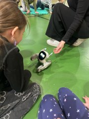 Projektové vyučování s IA roboty