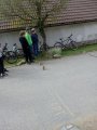 Dopravní soutěž mladých cyklistů