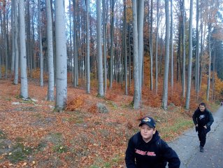 Projektové dny na naší škole